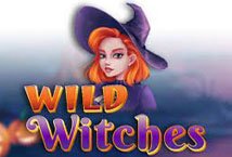 Wild Witches Amatic Industries Slot Review